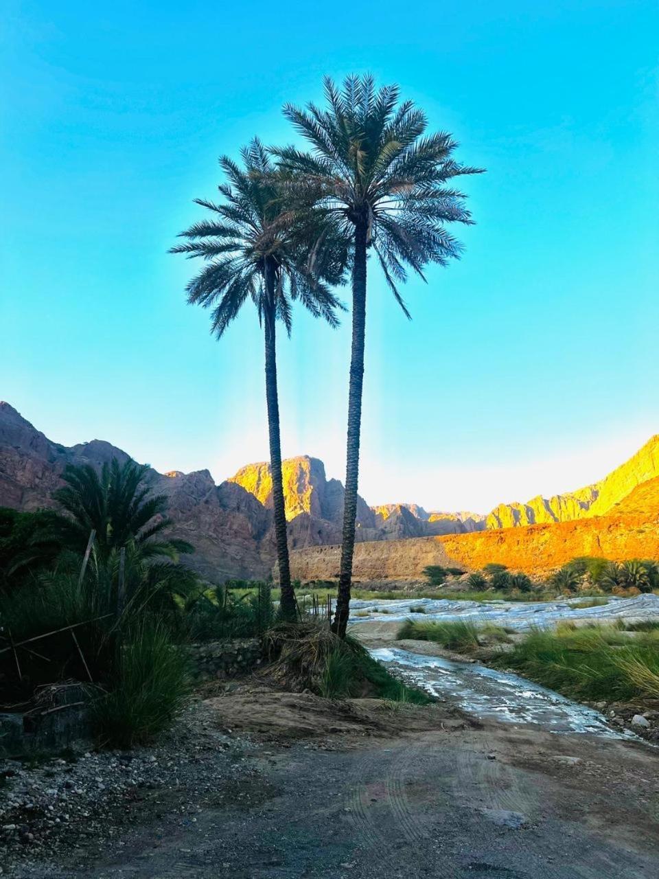 Wadi Al Arbeieen Resort Firq Exteriér fotografie